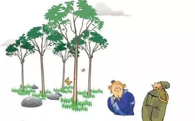拒絕“流浪地球”，團小西約你一起來植樹！